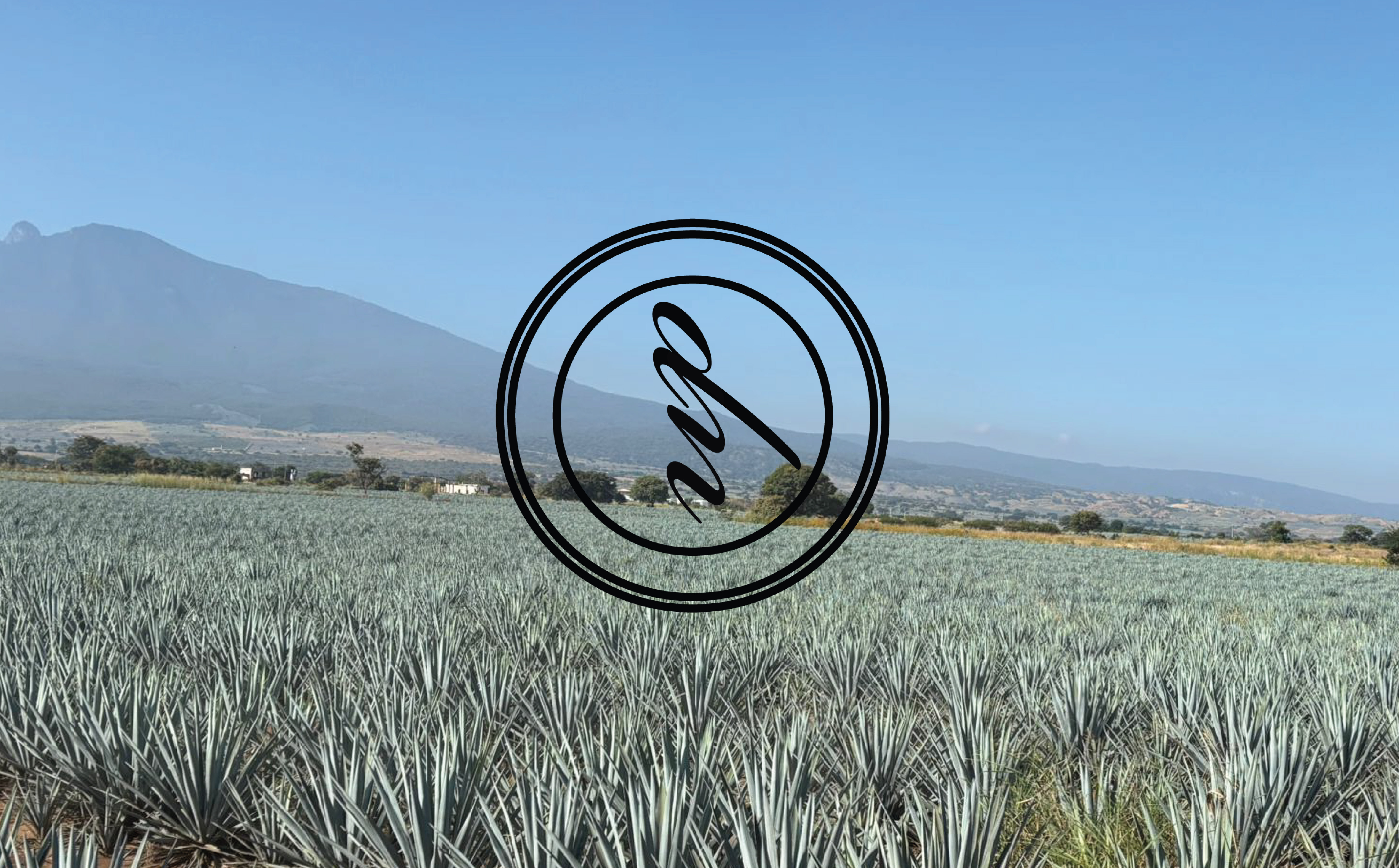 Project Dulce Maria Portfolio - Sam Poels